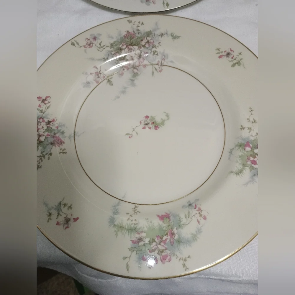 Pair Of Theodore Haviland New York dinner plates. Apple Blossom pattern - Picture 4 of 9